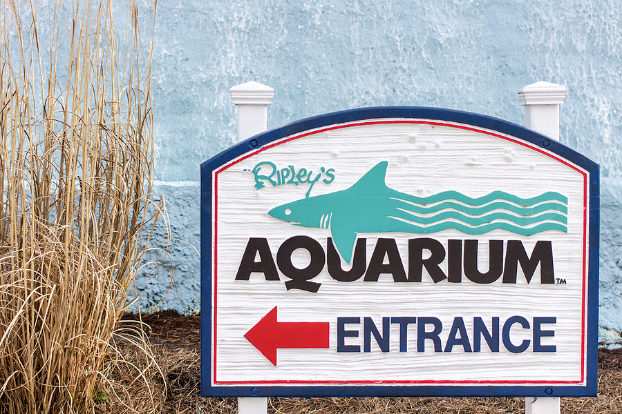 Myrtle Beach, South Carolina, USA - February 9, 2015. The Ripleys Aquarium is one of the most popular tourist attractions in town and located at the Broadway At The Beach Complex.